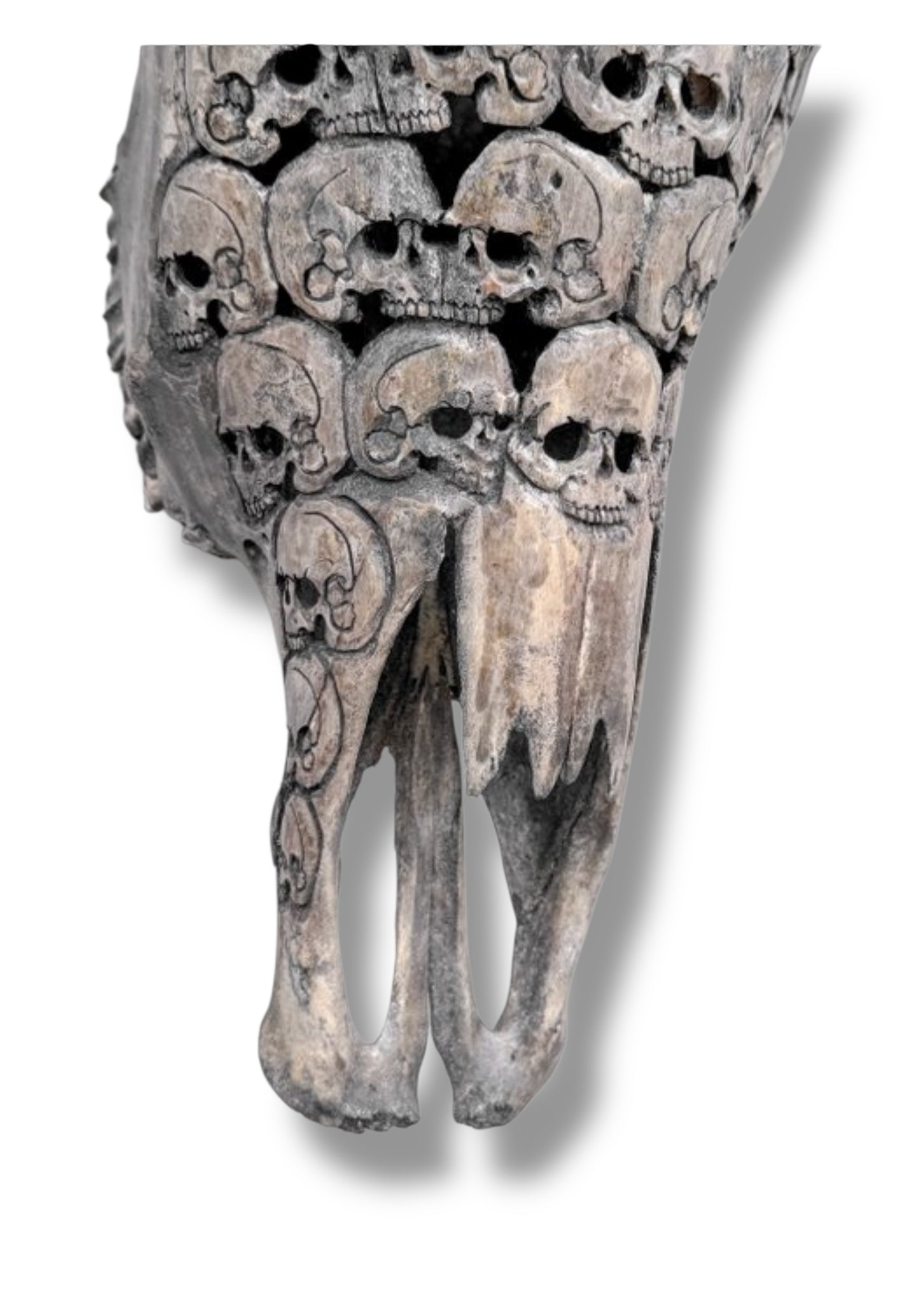 Handgesneden  Stieren Schedel met skulls