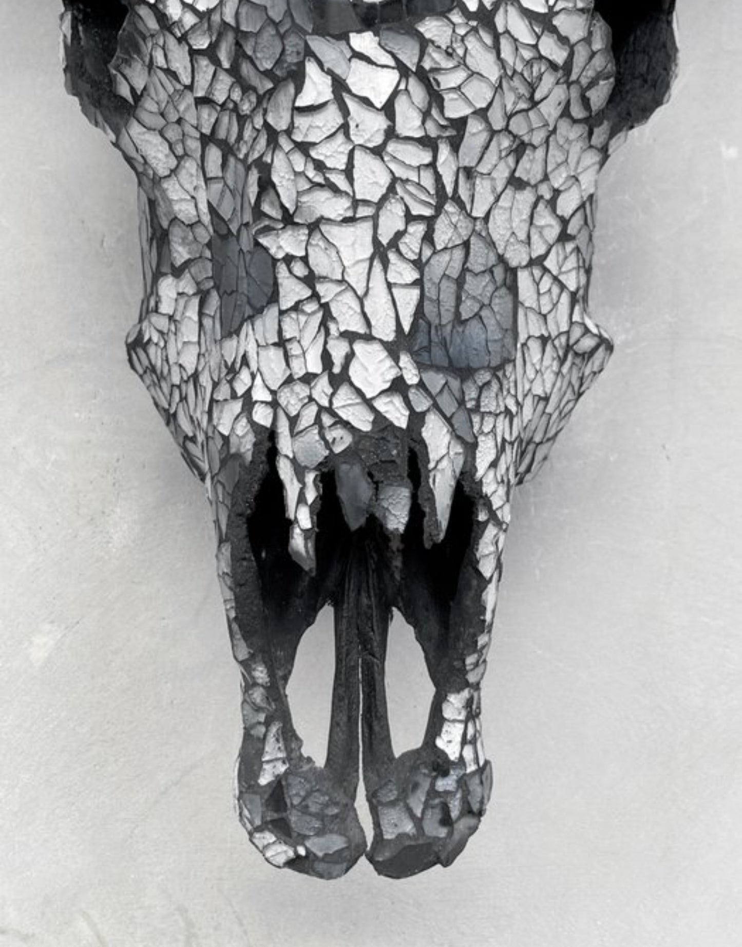 Cow Skull - Gray Mosaic