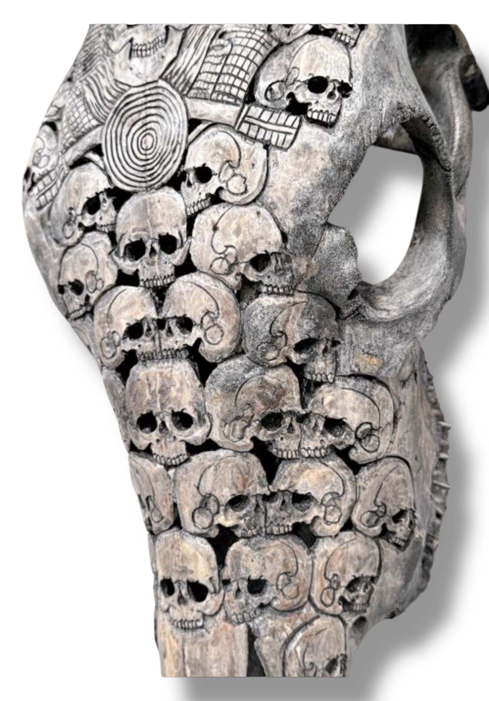 Handgesneden  Stieren Schedel met skulls