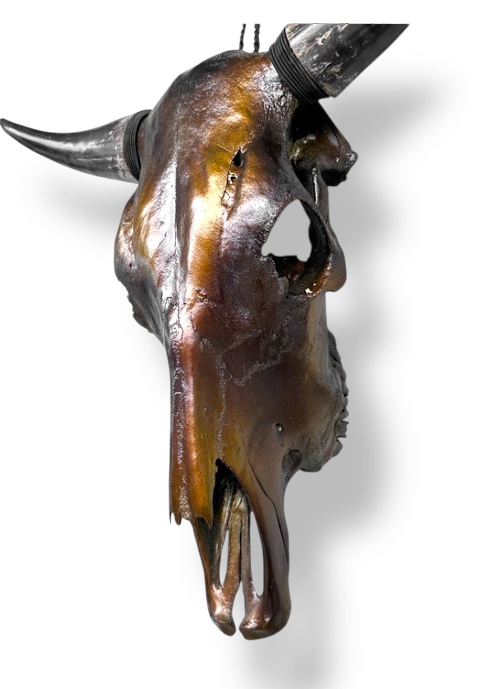 Stieren schedel metallic bruin