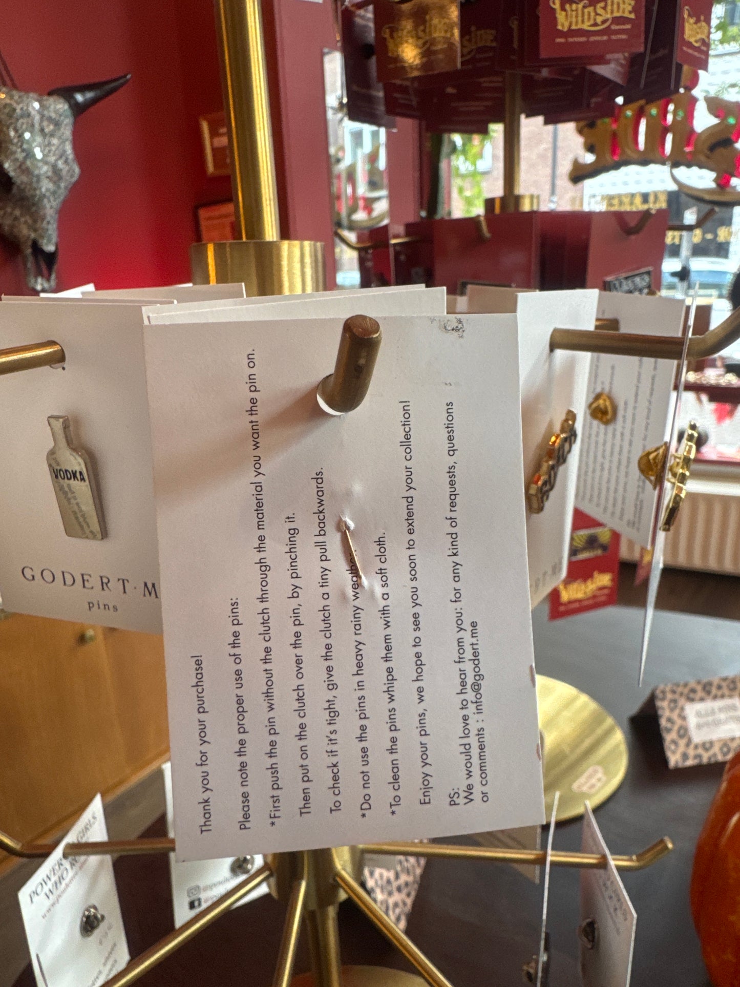 Lieveheersbeestje Pin