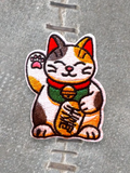 Kitty Patch