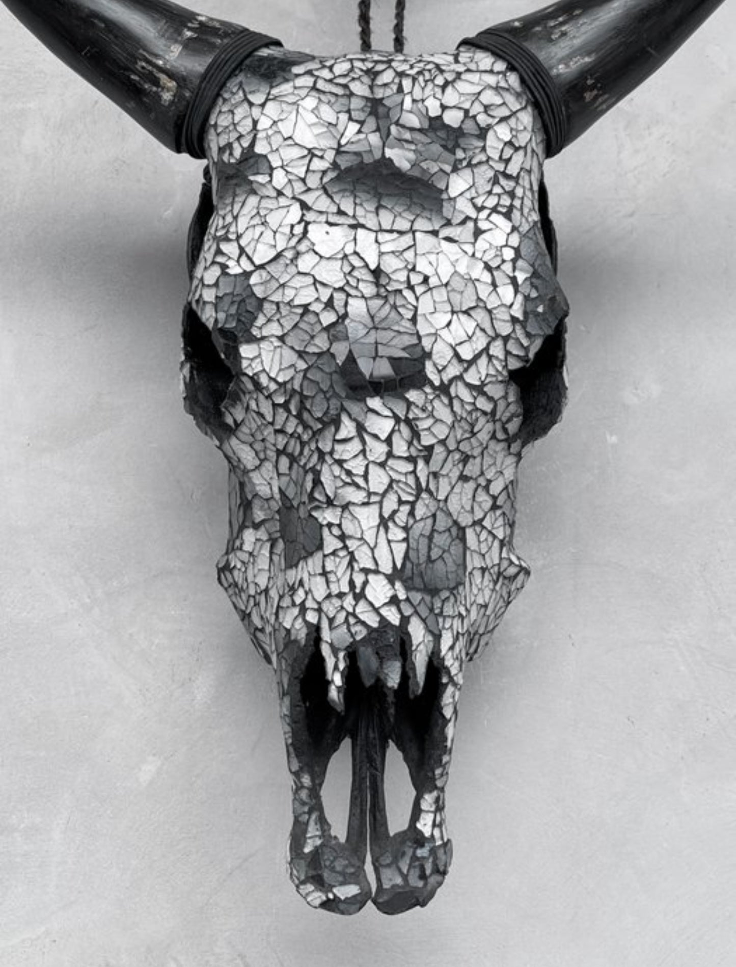 Cow Skull - Gray Mosaic