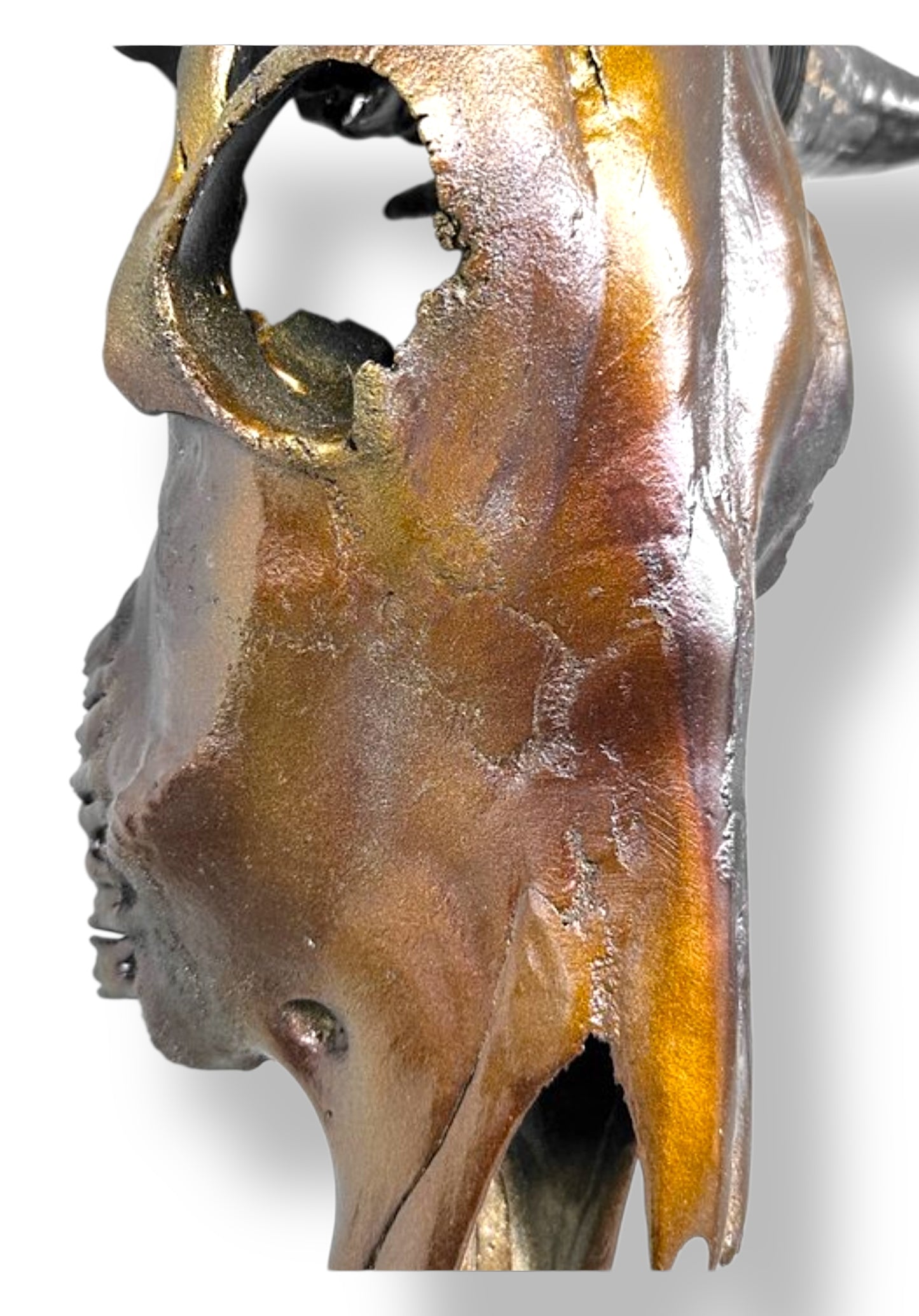 Bull skull metallic brown