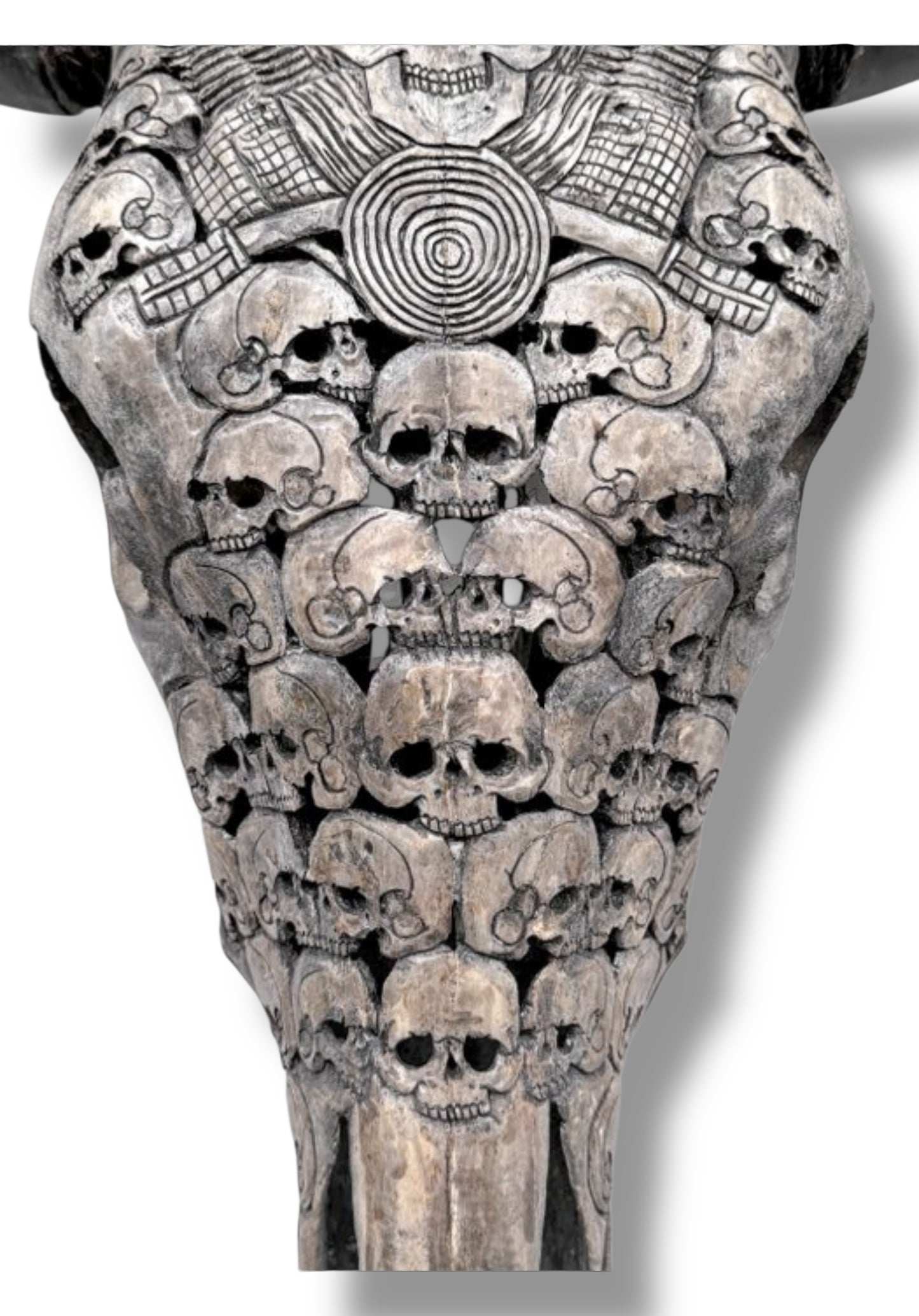 Handgesneden  Stieren Schedel met skulls