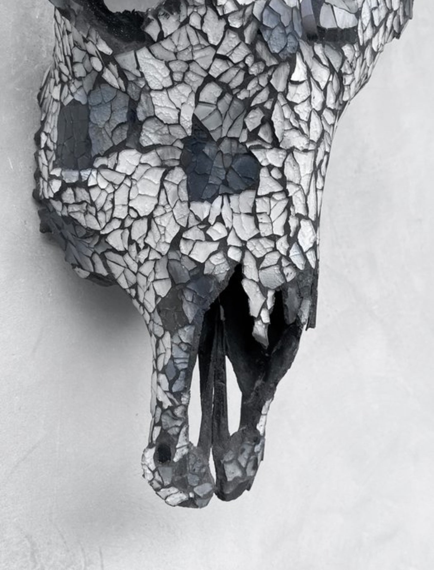 Cow Skull - Gray Mosaic