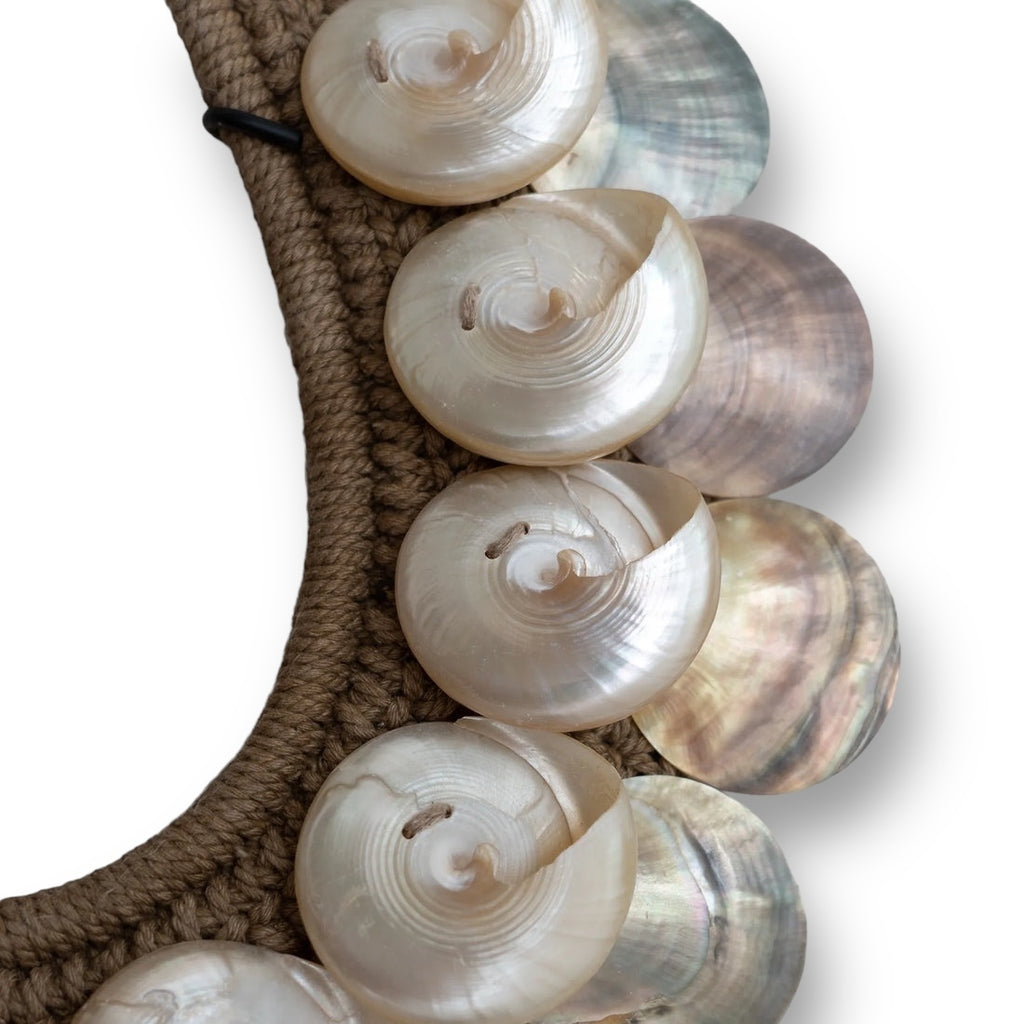 Adorno de conchas iridiscentes