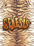 Genesis Patch