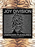 Joy Division Unknown Pleasures Patch