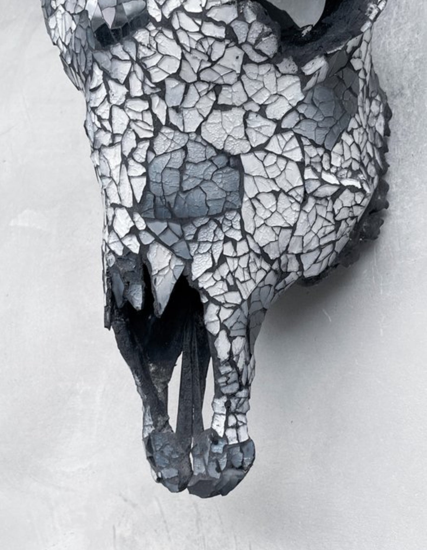 Cow Skull - Gray Mosaic