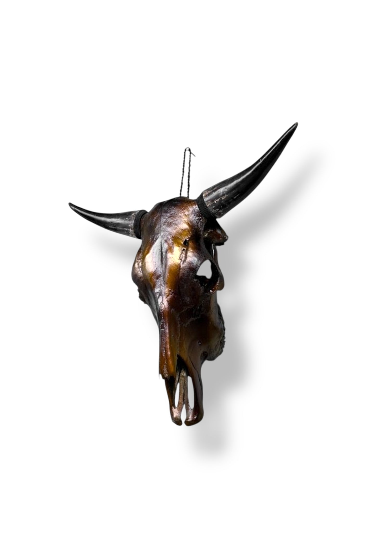 Bull skull metallic brown