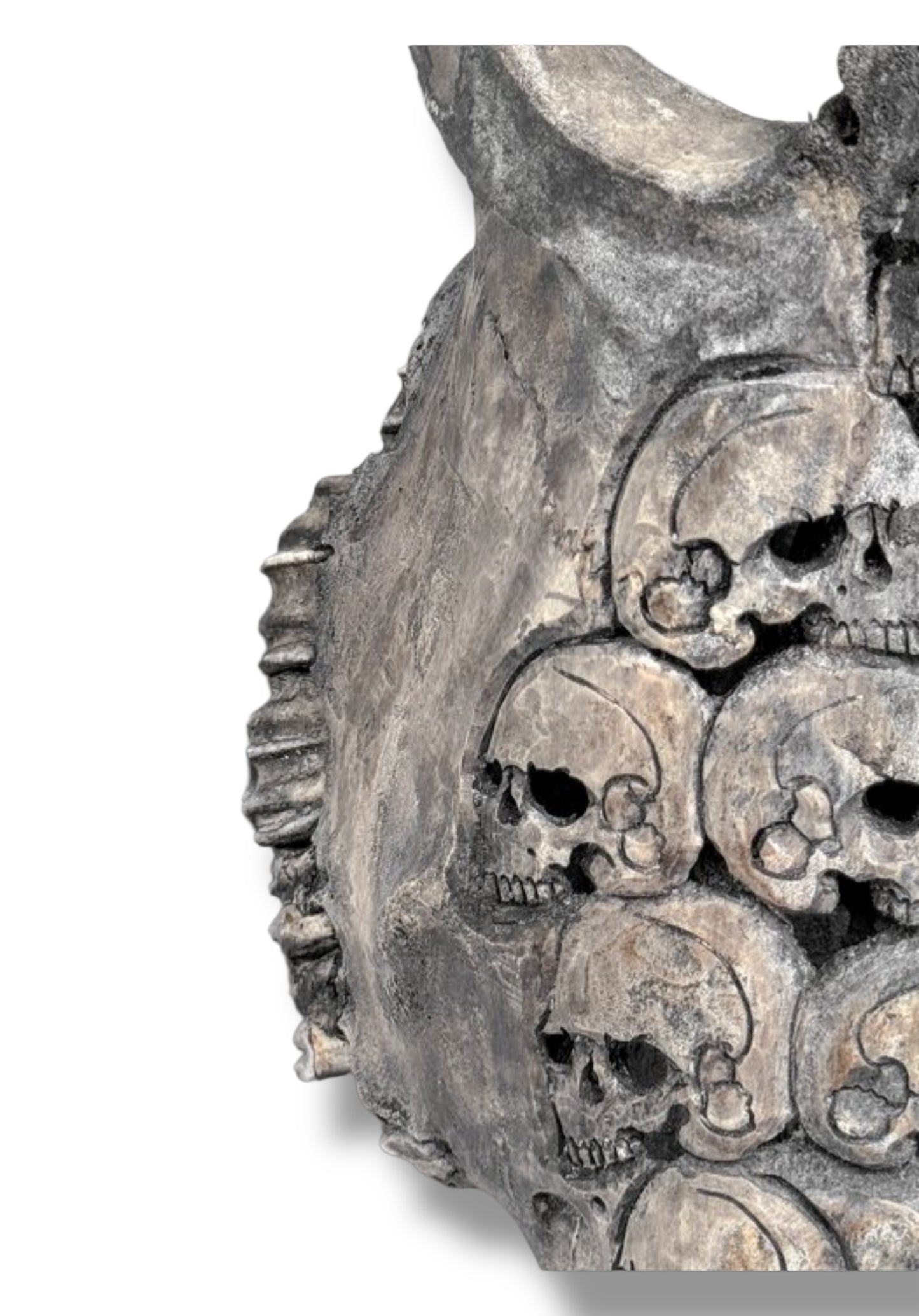 Handgesneden  Stieren Schedel met skulls