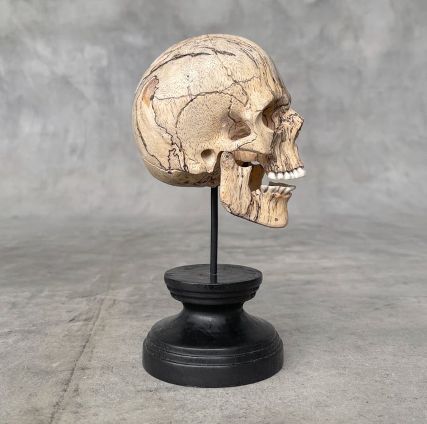 Tamarinde hout skull