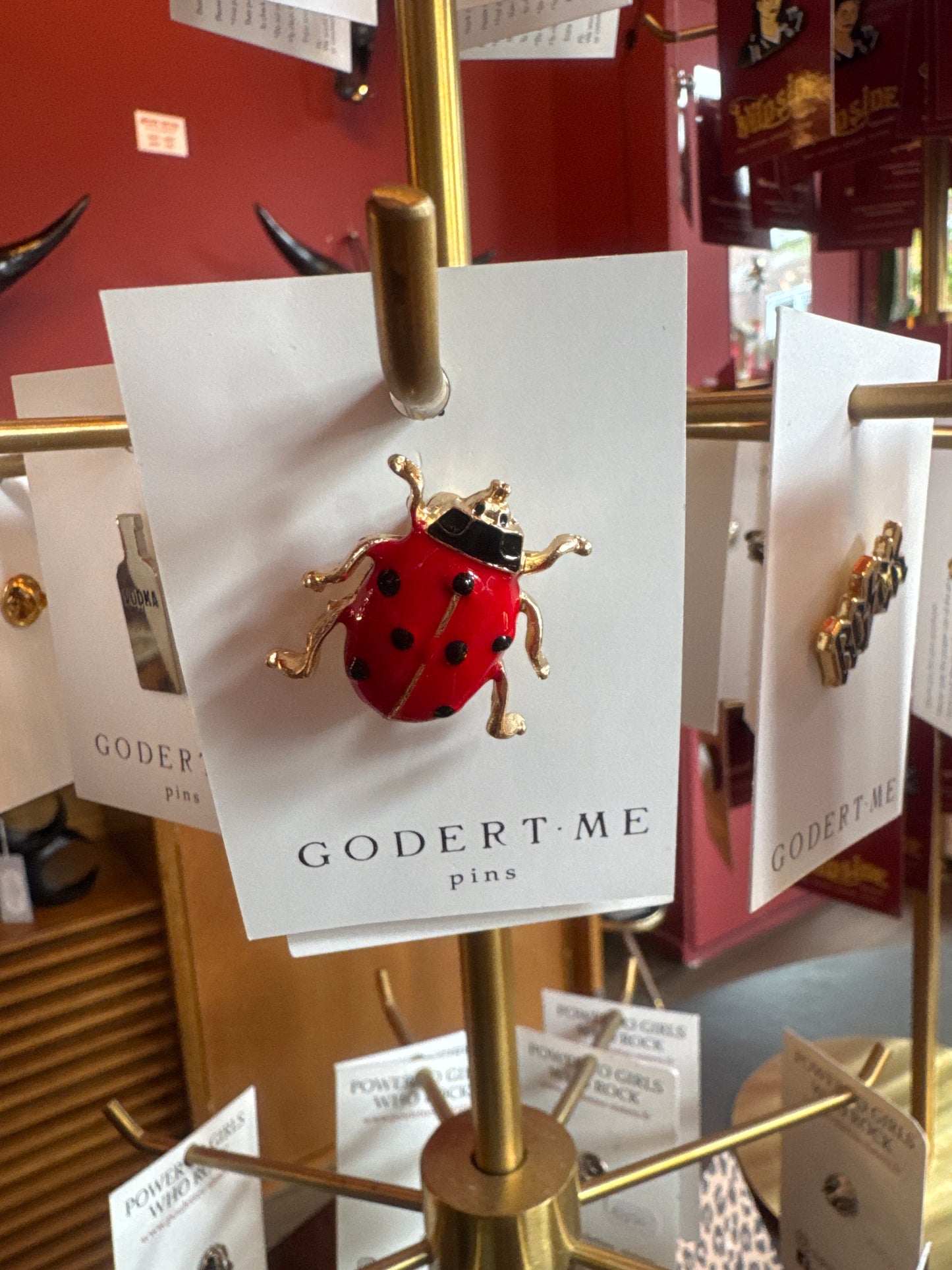 Lieveheersbeestje Pin