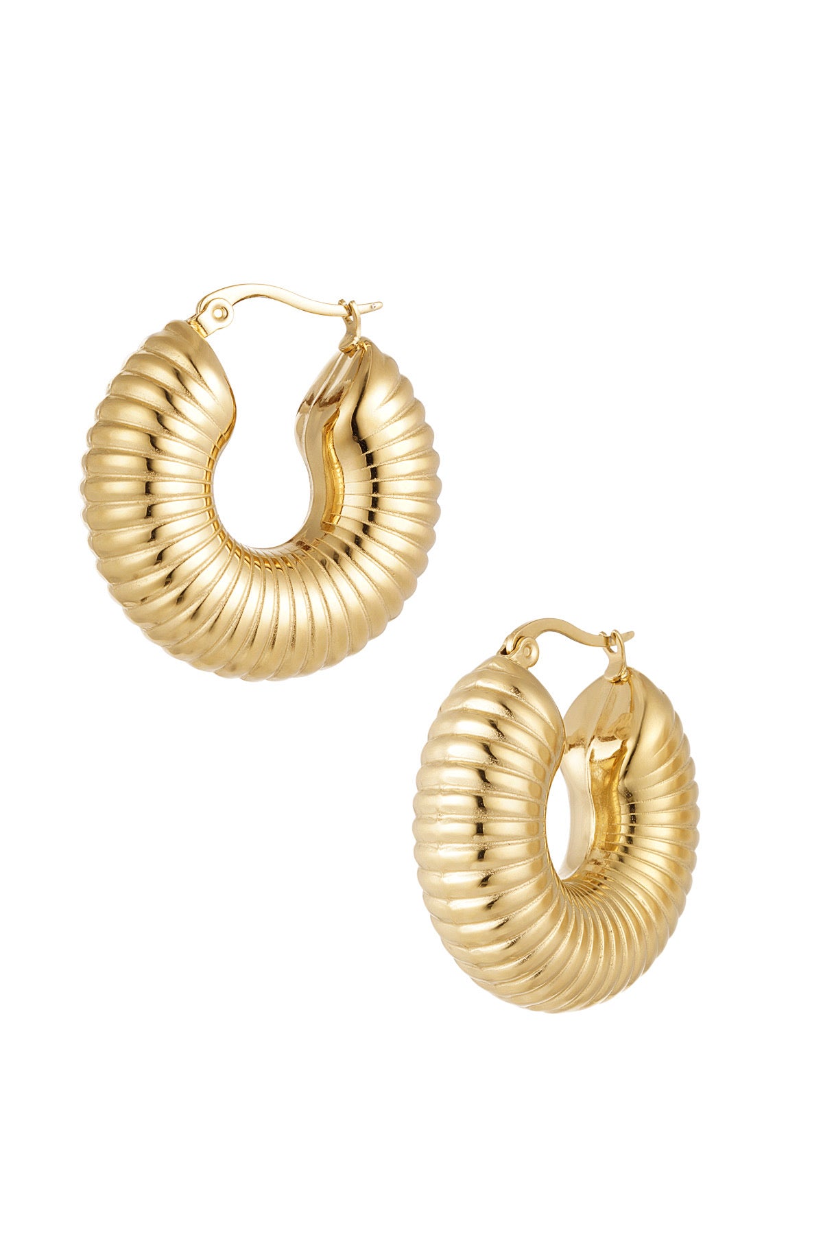 Earrings hoops