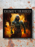 Disturbed Patch