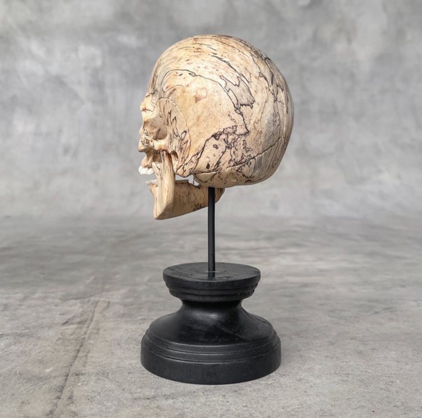 Tamarinde hout skull