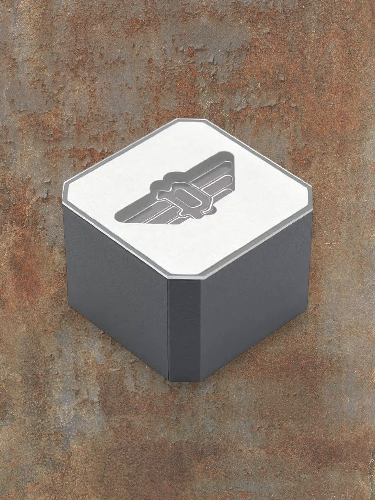 WILDSIDE grey hexagonal box with embossed logo, 24cm armband.