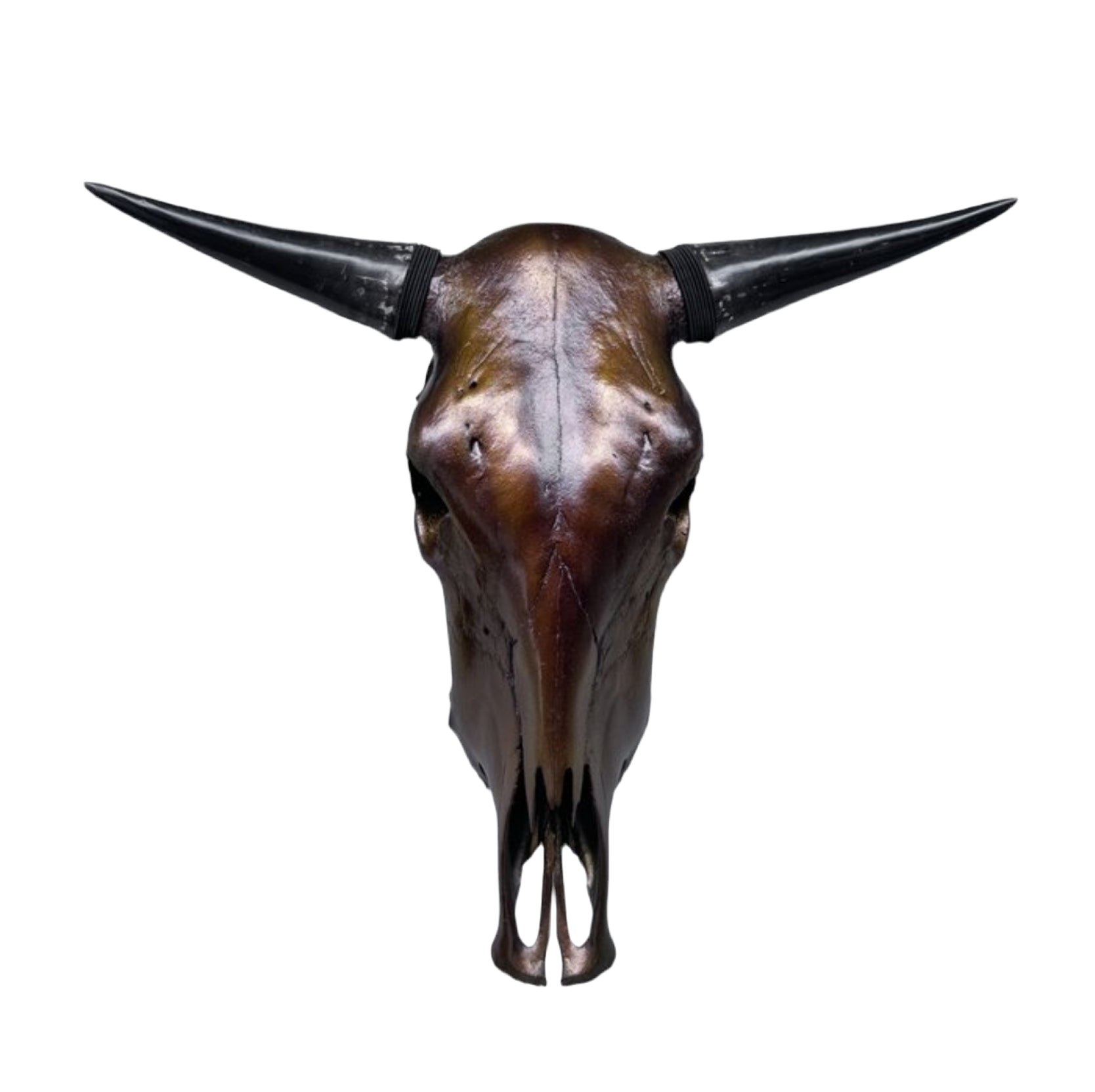 Stieren schedel metallic bruin