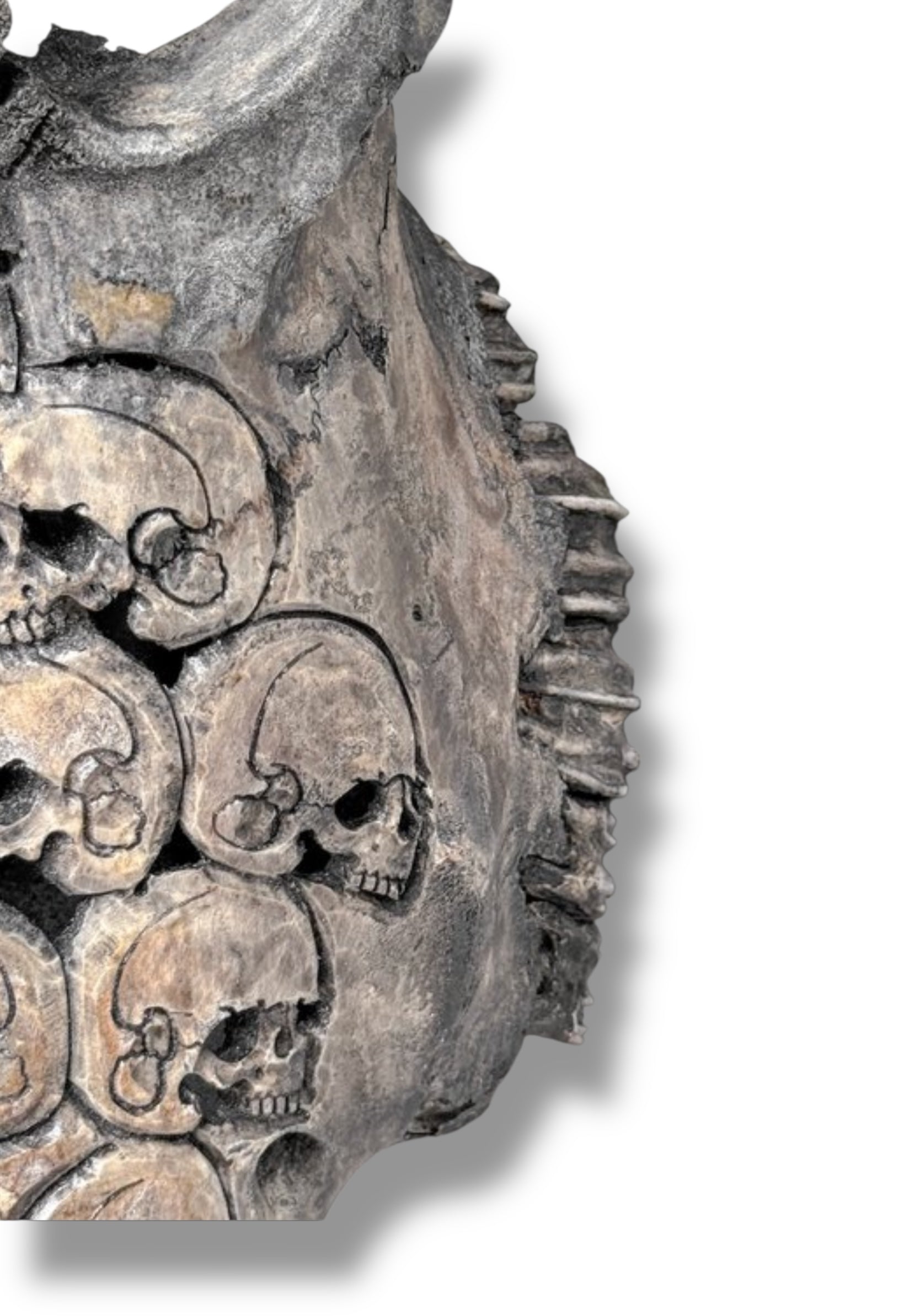 Handgesneden  Stieren Schedel met skulls