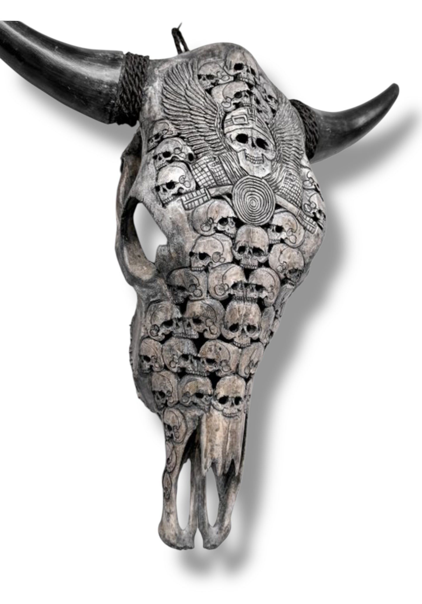 Handgesneden  Stieren Schedel met skulls