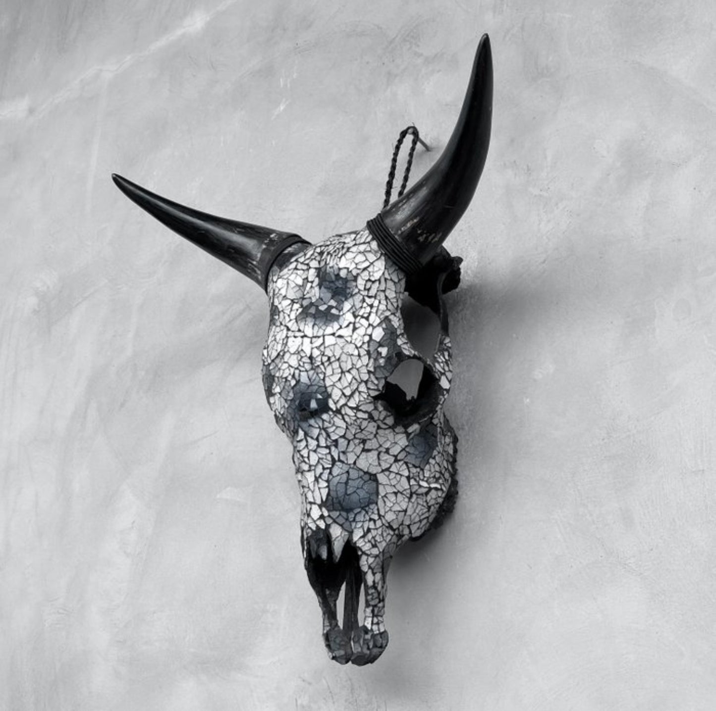 Cow Skull - Gray Mosaic