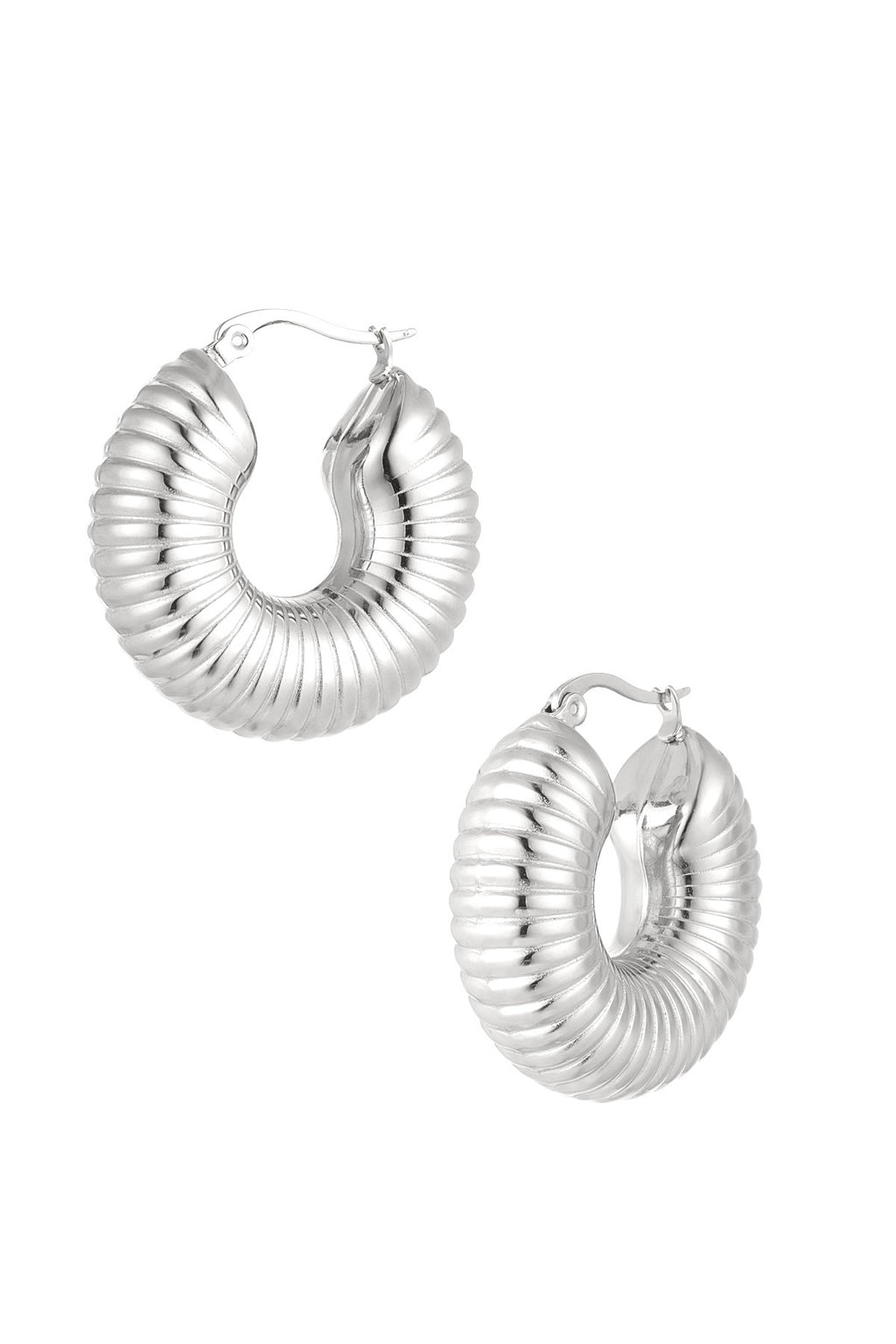 Earrings hoops