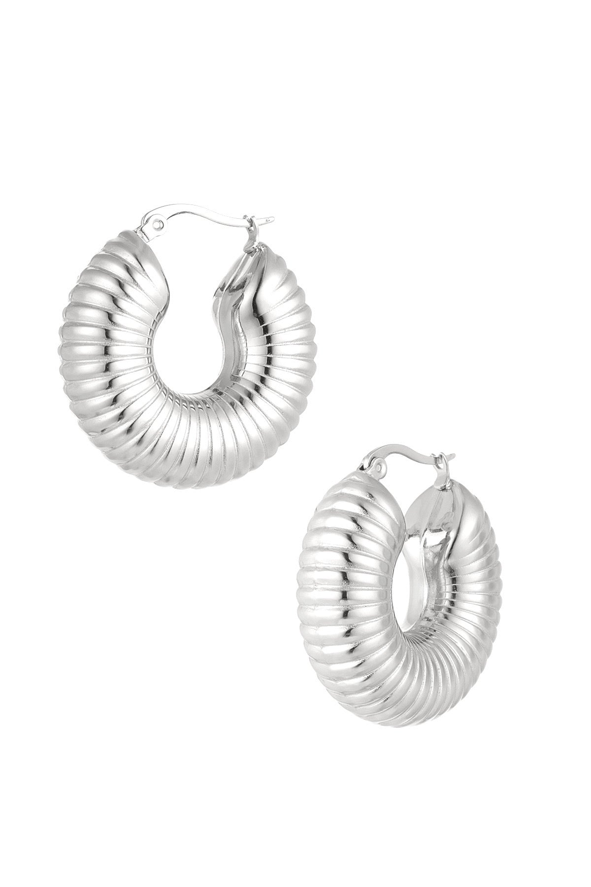 Earrings hoops