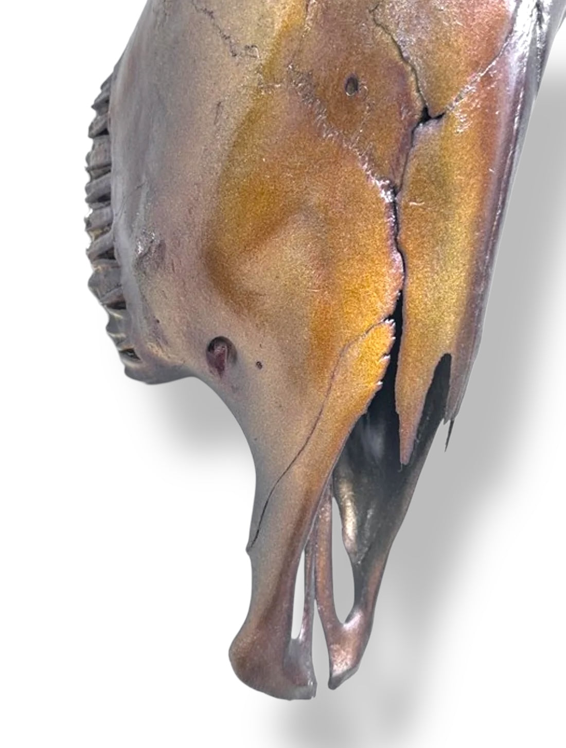 Bull skull metallic brown