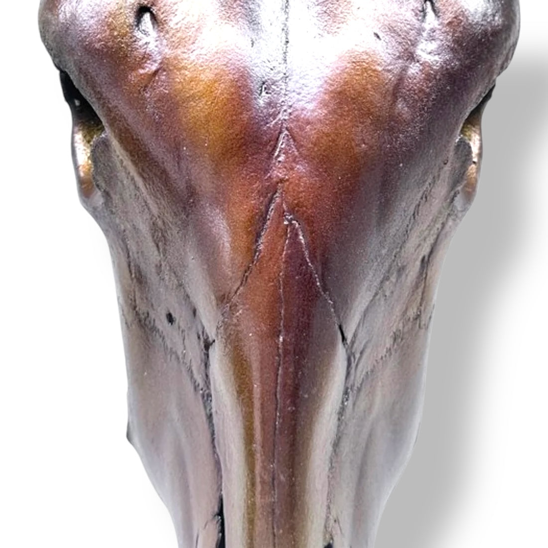 Stieren schedel metallic bruin