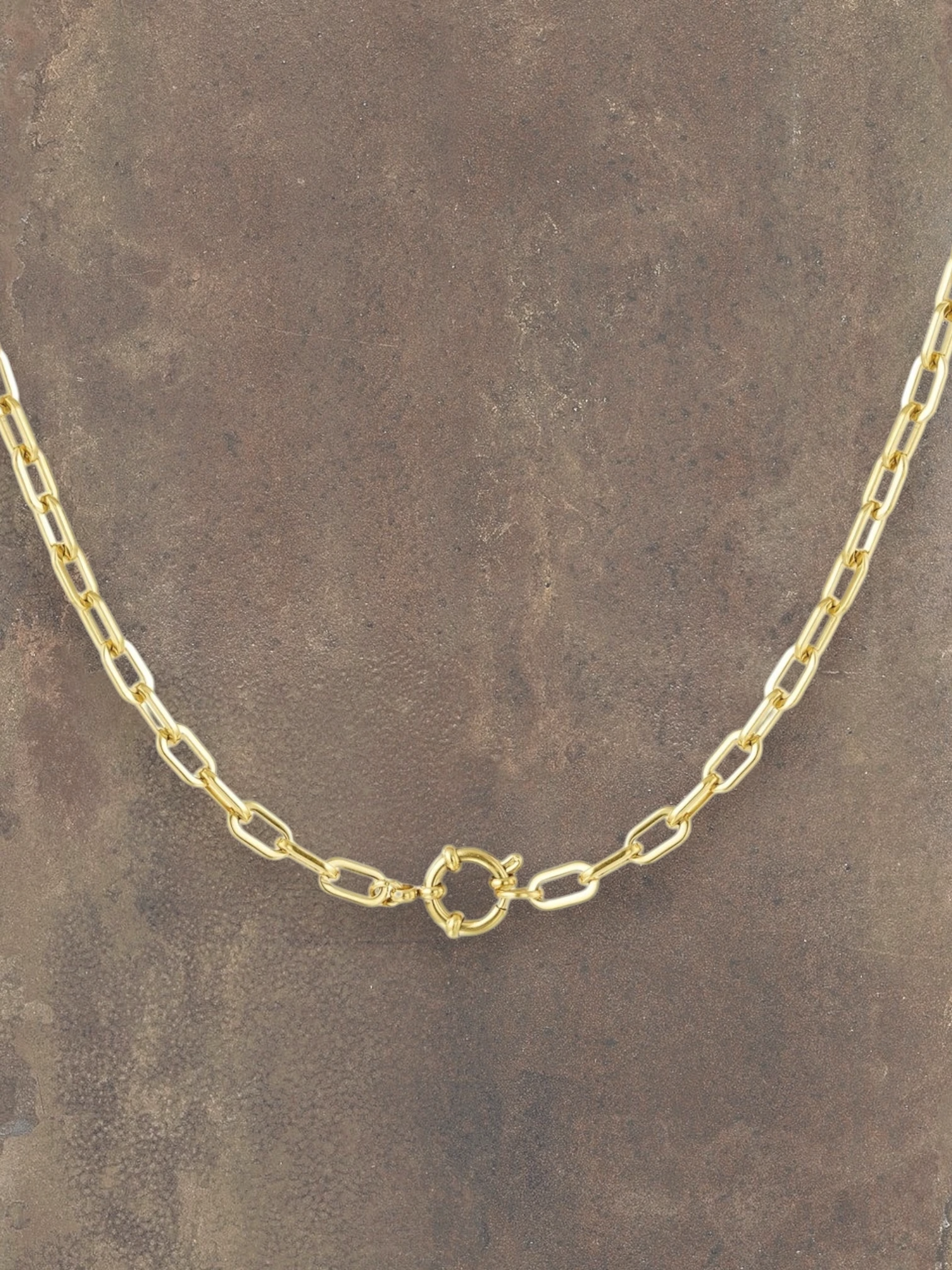 WILDSIDE gold stainless steel chain necklace with a circular clasp. Water-resistant and durable.