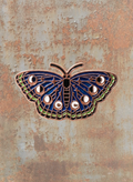 WILDSIDE dark blue butterfly enamel pin with moon phases and stars design.