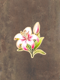 WILDSIDE pink and white lily flower pin with green leaves and a bud, enamel and metal.