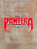 WILDSIDE Pantera logo pin, red enamel with silver trim, metal accessory for jackets and clothing.