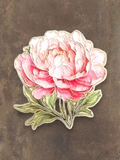 WILDSIDE peony flower pin with pink and white petals and green leaves.