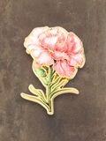 WILDSIDE pink peony flower enamel pin with gold trim and green stem. Perfect accessory for jackets and bags.