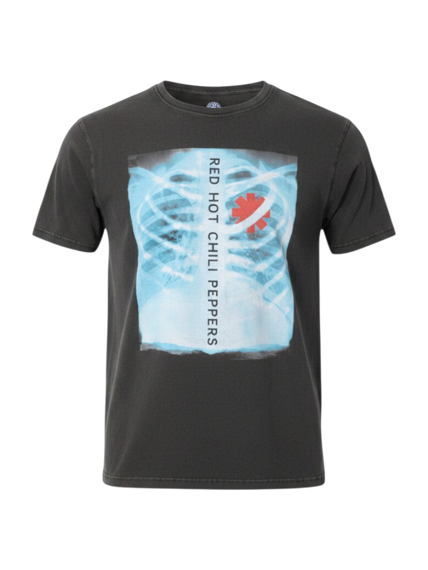 WILDSIDE Red Hot Chili Peppers charcoal grey stone wash cotton t-shirt with X-Ray chest graphic print