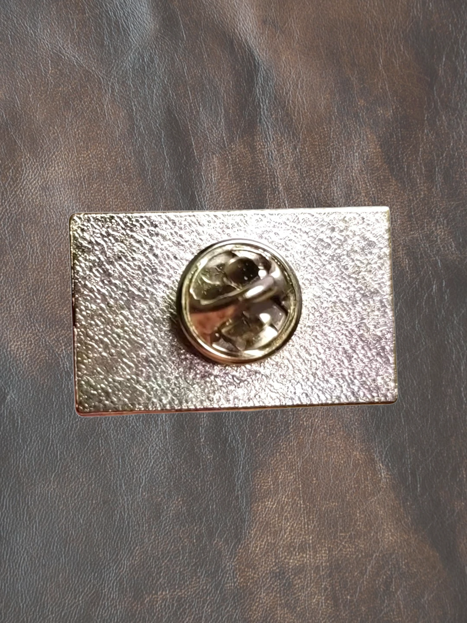 WILDSIDE rectangular pin with textured silver front and metal clasp back.