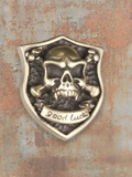 WILDSIDE silver-tone skull and crossbones pin with "good luck" banner, shield shape, edgy accessory.